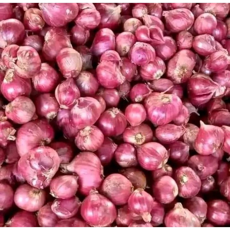 

BAWANG MERAH BREBES SUPER BESAR &KERING