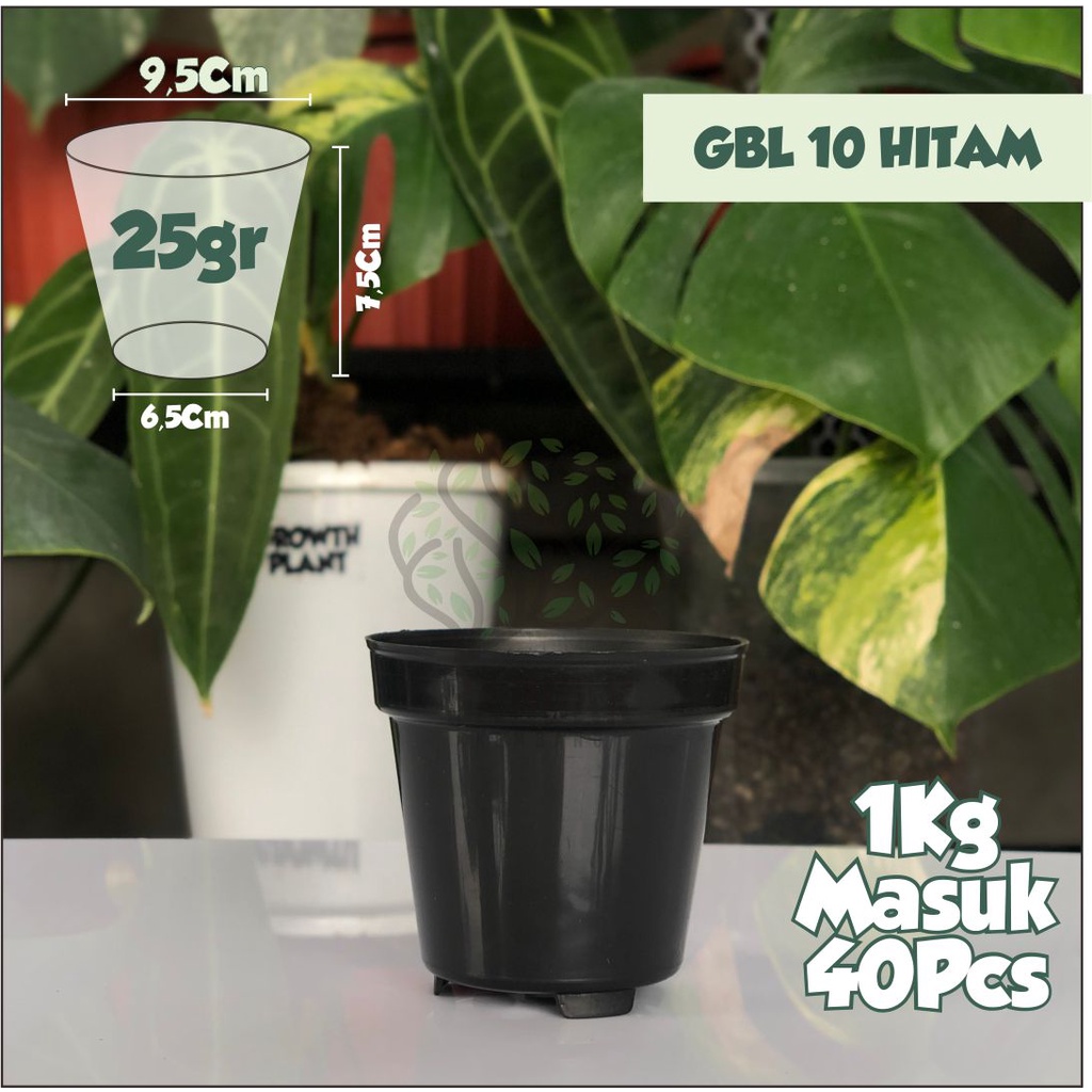 Pot Hitam Kecil GBL 10 Hitam - Pot Bibit Tanaman Bunga Hias - Pot Kecil Hitam - Pot 10 - Pot Plastik