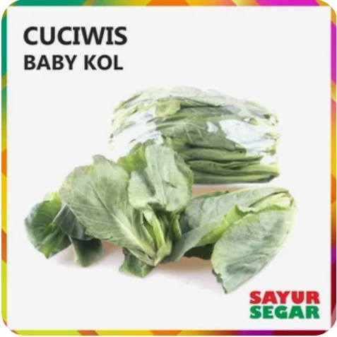 

Baby Kol sayur segar surabaya