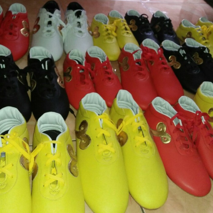 Sepatu wushu DC