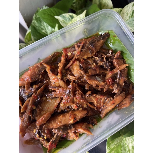 

TONGKOL ASAP KEMASAN FROZEN