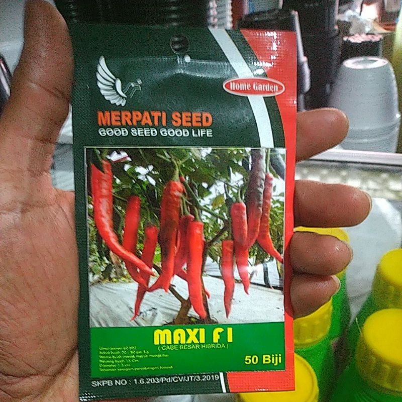 Benih Cabe Besar Hibrida MAXI F1 Ori Merpati Seed isi 50 Biji
