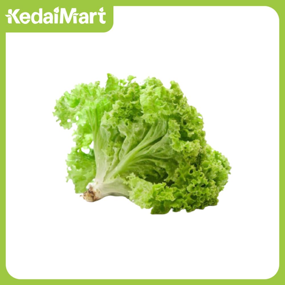 

Lettuce Premium Pack 200 Gram