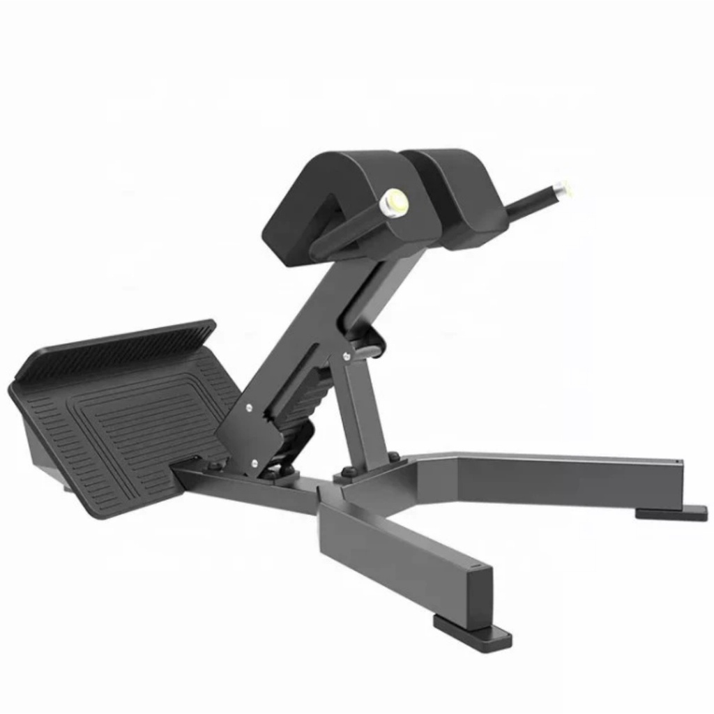 alat fitness Back Extension Fitness DHZ E3045 alat Gym