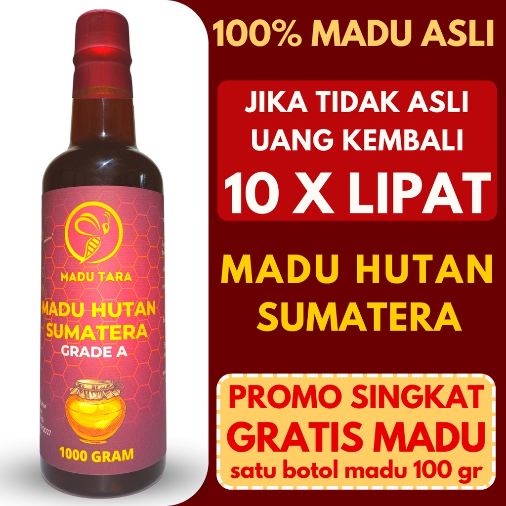 MADU HUTAN SUMATERA MADU ASLI MADU MENTAH MURNI RAW HONEY MADU TARA