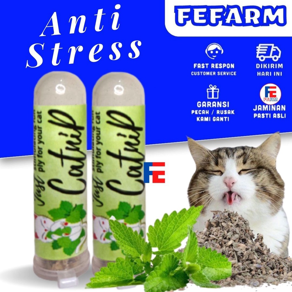 Catmint Snacks Bubuk Catnip Powder Botol Anti Stress Camilan Kucing FEFARM