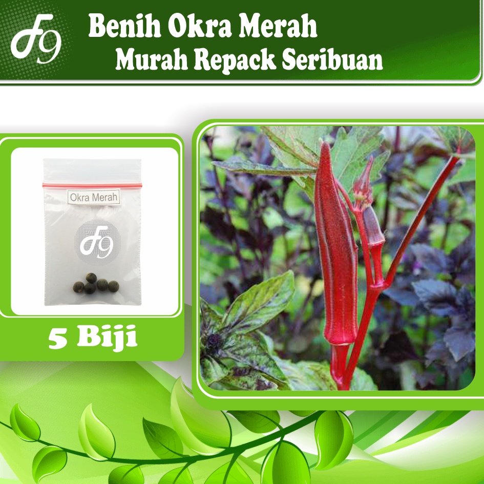 Benih Bibit Okra Merah Murah Repack Seribuan