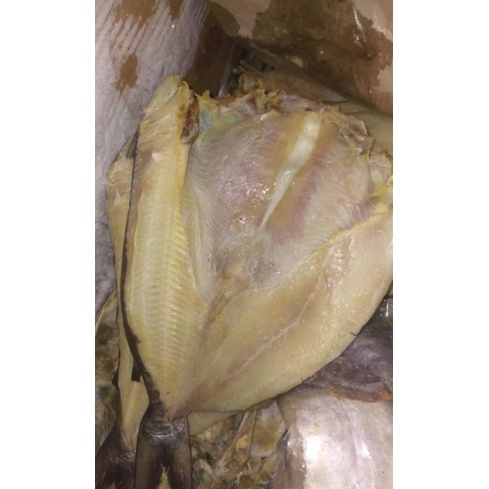 

Jambal Roti Super Khas Pangandaran