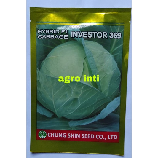 Benih kubis hibrida INVESTOR 369 isi 25gram dari Chung Shin seeds
