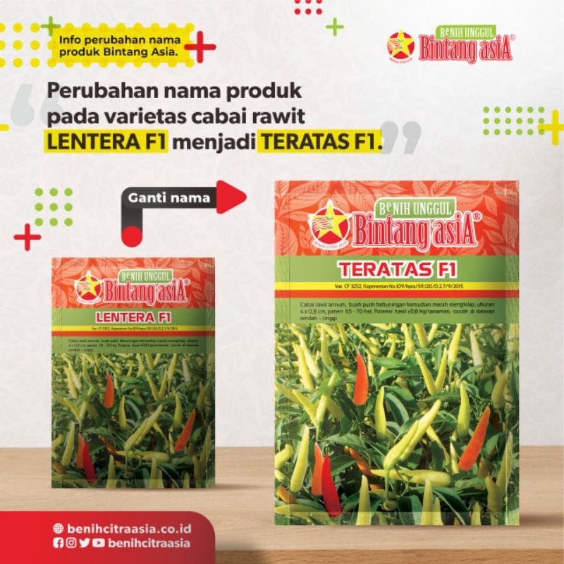 ID {400 BIJI} BENIH CABE RAWIT LENTERA F1 GANTI NAMA TERATAS F1 REPACK