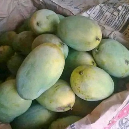 

MANGGA HR HARUM MANIS PREMIUM 1 KG