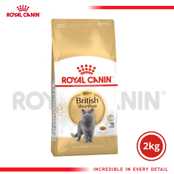 Royal Canin Adult British Shorthair Makanan Kucing Dewasa Dry 2kg