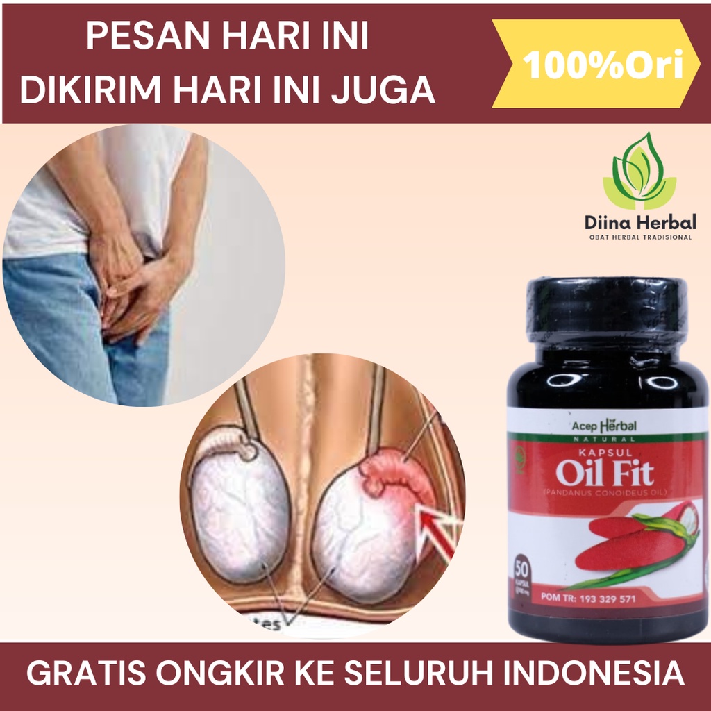 Obat Buah Zakar Bengkak, Obat Benjolan Di Buah Zakar, Obat Penis Bengkak, Obat Buah Zakar Bengkak Se