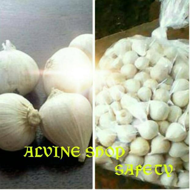 

㊔C Bawang Putih Tunggal / Bawang Lanang 250gram BEST SELLER 3988 ❁