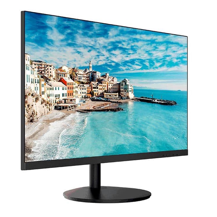 Monitor DAHUA 24 Inch LM24-A200