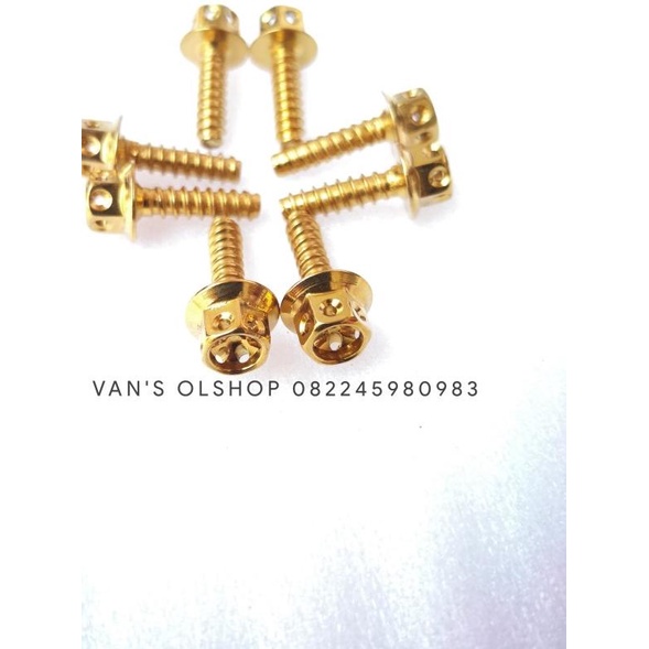 Baut Probolt Gold Untuk Baut Cover Filter Vario 125, 150 & PCX CBU