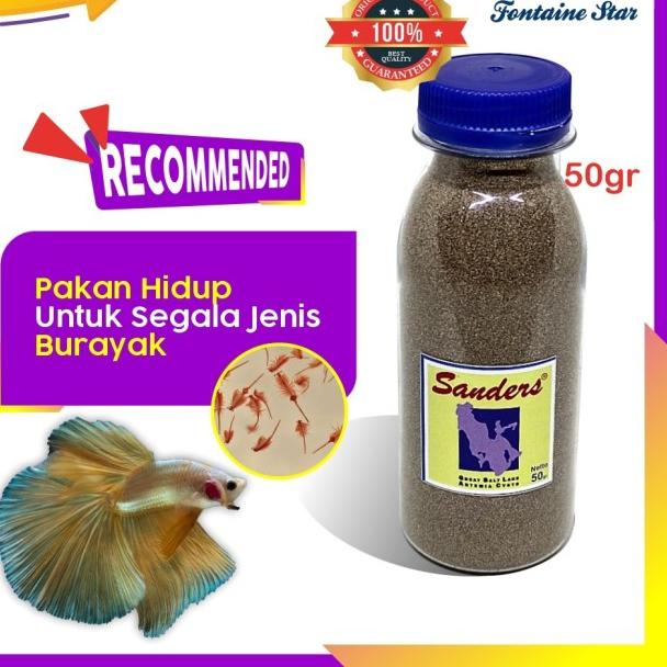 Artemia Sanders Biru 50Gram
