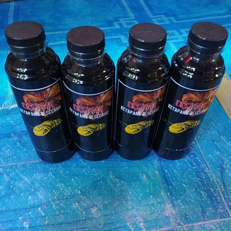 Jual Ekstrak Ketapang Ml Super Pekat Shopee Indonesia