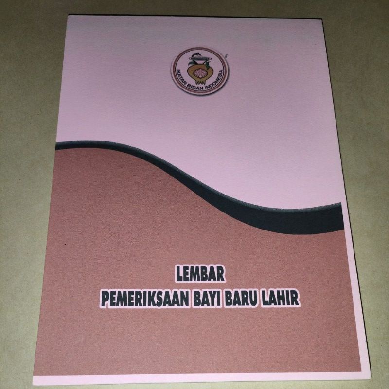 

Buku Lembar Pemeriksaan Bayi Baru Lahir 2023