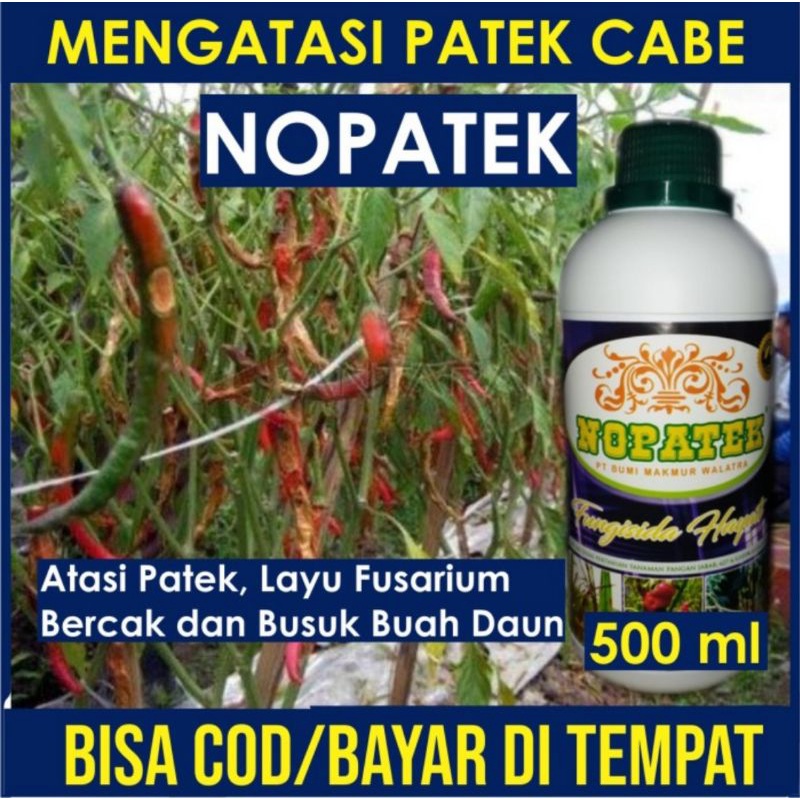 NOPATEK FUNGISIDA HAYATI