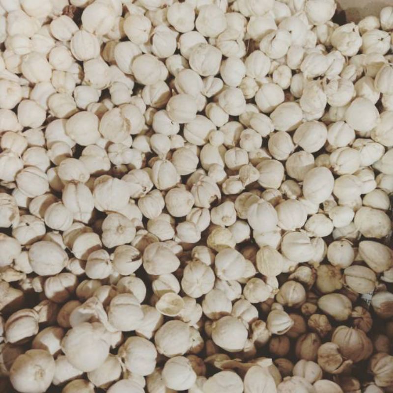 

biji kapulaga kemasan