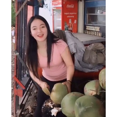 Paket 5 Bibit Kelapa Genjah Entok/ Pohon Kelapa Hijau Hibrida/ Kelapa Wulung Pohon Pendek Berbuah Le