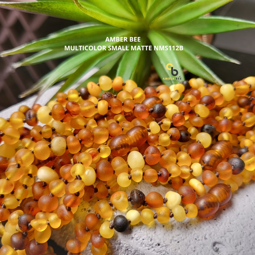 Kalung Amber Baltic Anak Tumbuh Gigi Multicolor Matte NMS112B by Amber Bee