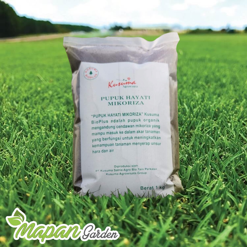 Pupuk Hayati Mikoriza 1 Kg Kusuma Bioplus Penumbuh Akar Organik