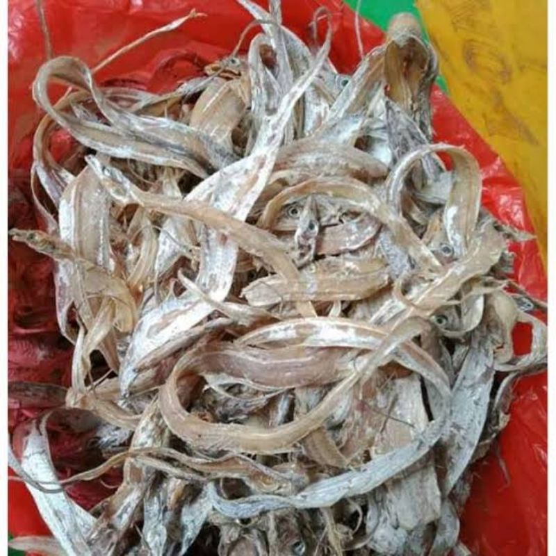 

IKAN ASIN LAYUR ASLI TANPA PENGAWET