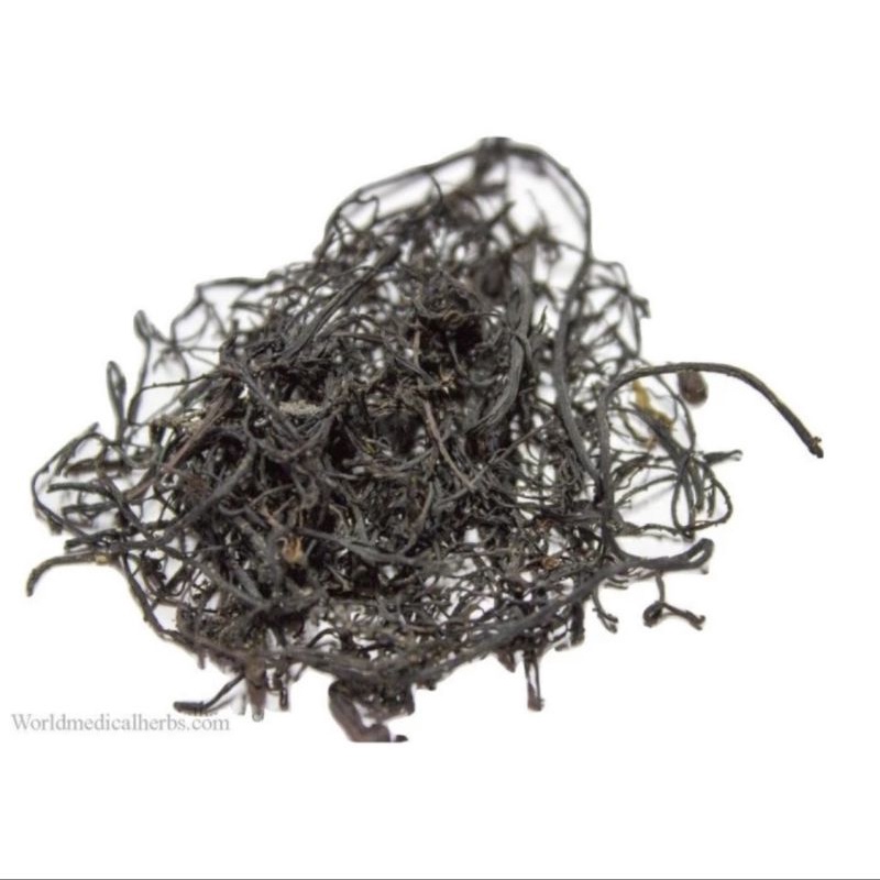 

300 G GR GRAM HAI ZAO DAN HAI CAO 海藻 淡海草 SEAWEED SARGASSUM GR GRAM HAI ZAO SEAWEED SARGASSUM