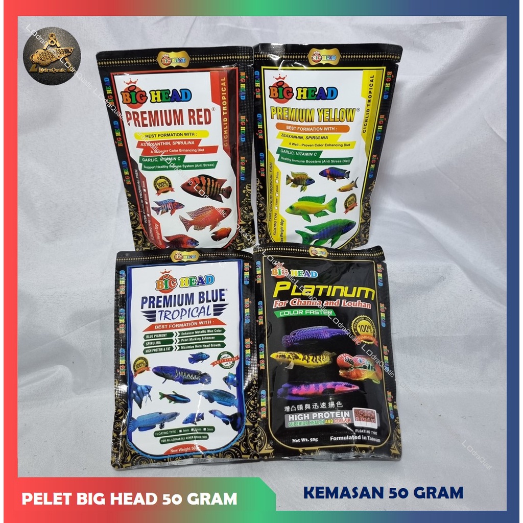 PELET BIG HEAD 50 GRAM PELET PROTEIN TINGGI SPESIAL BOOSTER WARNA CHANNA  PELET LOUHAN ANTI STRESS PELET PREDATOR PELET PREMIUM YELLOW PREMIUM RED PREMIUM BLUE PELET BIG HEAD PLATINUM BOOSTER WARNA IKAN PELET CUPANG GUPPY CICHLID LOUHAN CHANNA ARWANA