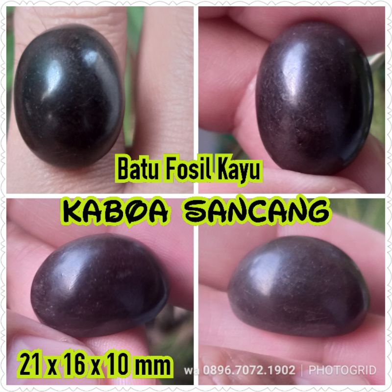 batu fosil kayu kaboa sancang asli kode 7 no bacan kalimaya pirus persia rubi zamrut giok batu bulu 