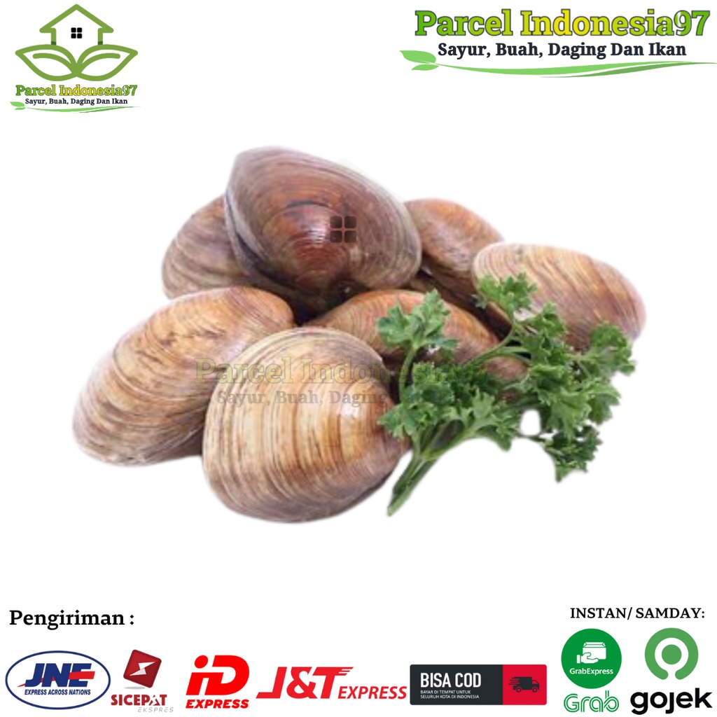 

Kerang Tahu segar 500gram pasar murah