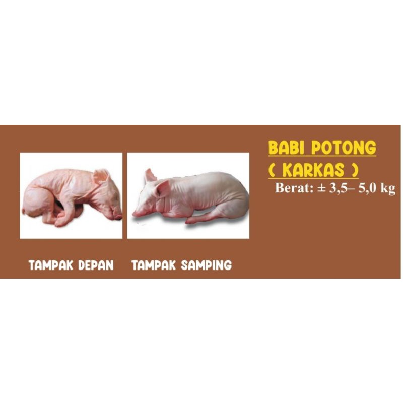 

Babi Susu ukuran 3,0 kg - 5,0 kg