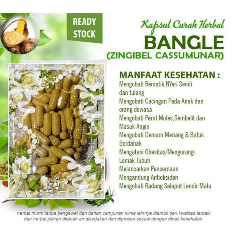 

Bangle 100 Kapsul Curah Herbal rematik Nafsu Makan Dll