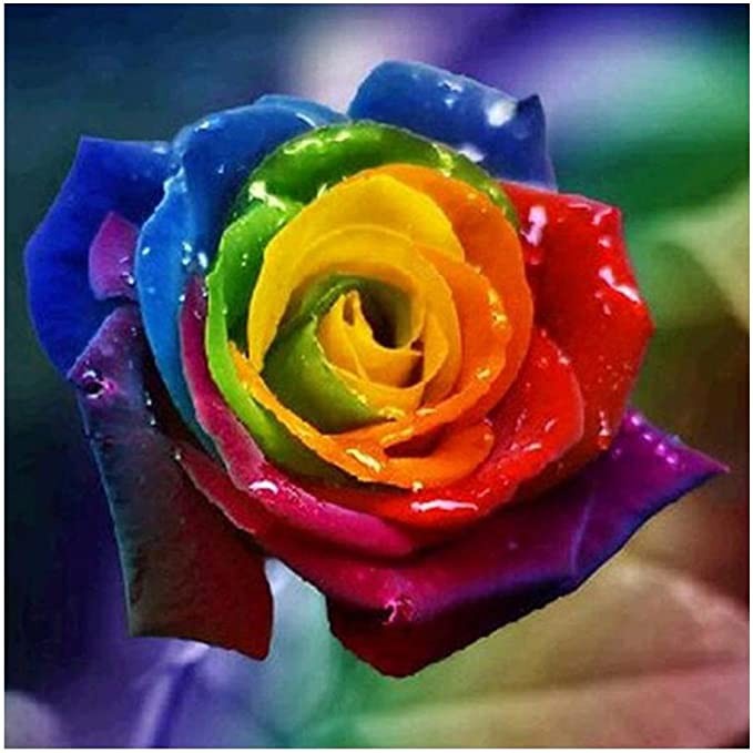 DIY Diamond Painting - 5D Rainbow Rose Stitch Kit