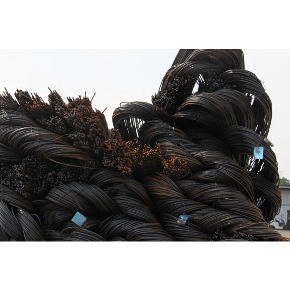 BESI BETON POLOS 10 MM