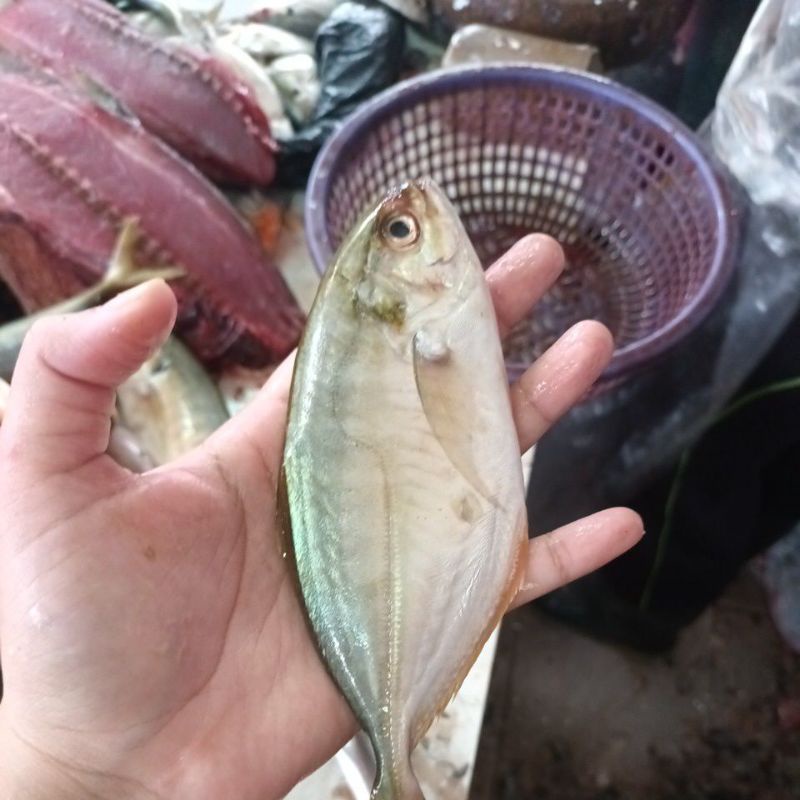 

kue kecil