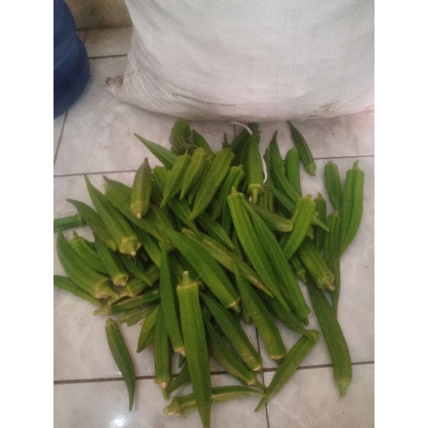 

okra fresh 500 gr