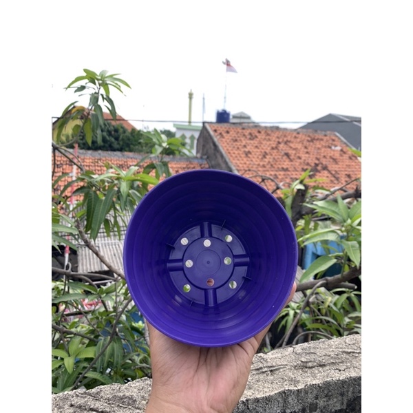 POT KING MADO 18 PUTIH WARNA WARNI Da 14,5 CM POT LUCU CANTIK MURAH