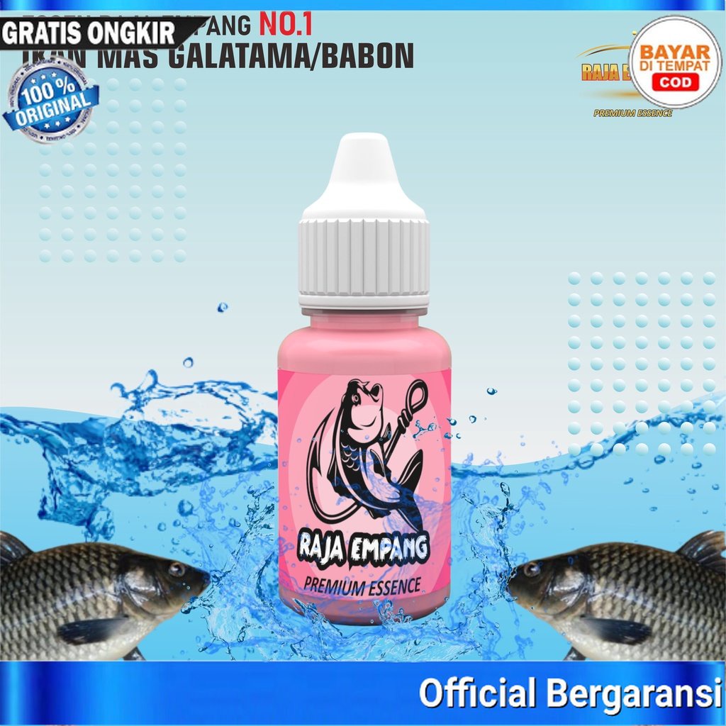 ESSEN RAJA EMPANG ESSEN IKAN MAS PALING BAGUS ESEN IKAN MAS PALING BAGUS Ikan Mas Premium, Essen Ika