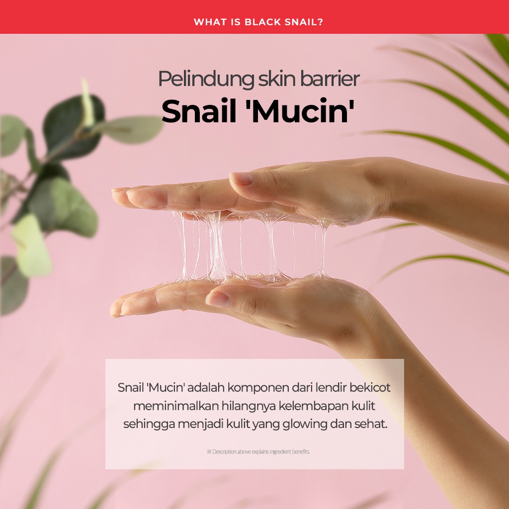 SOME BY MI Snail Truecica Miracle Repair Toner Menenangkan Kulit Wajah Sensitif