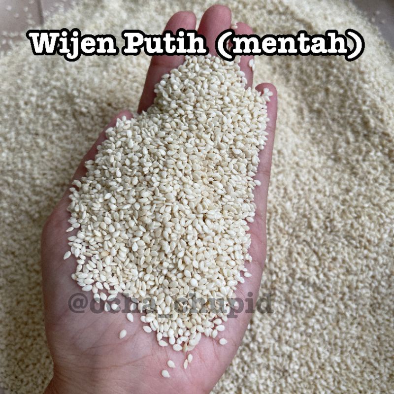

Wijen Putih (mentah)