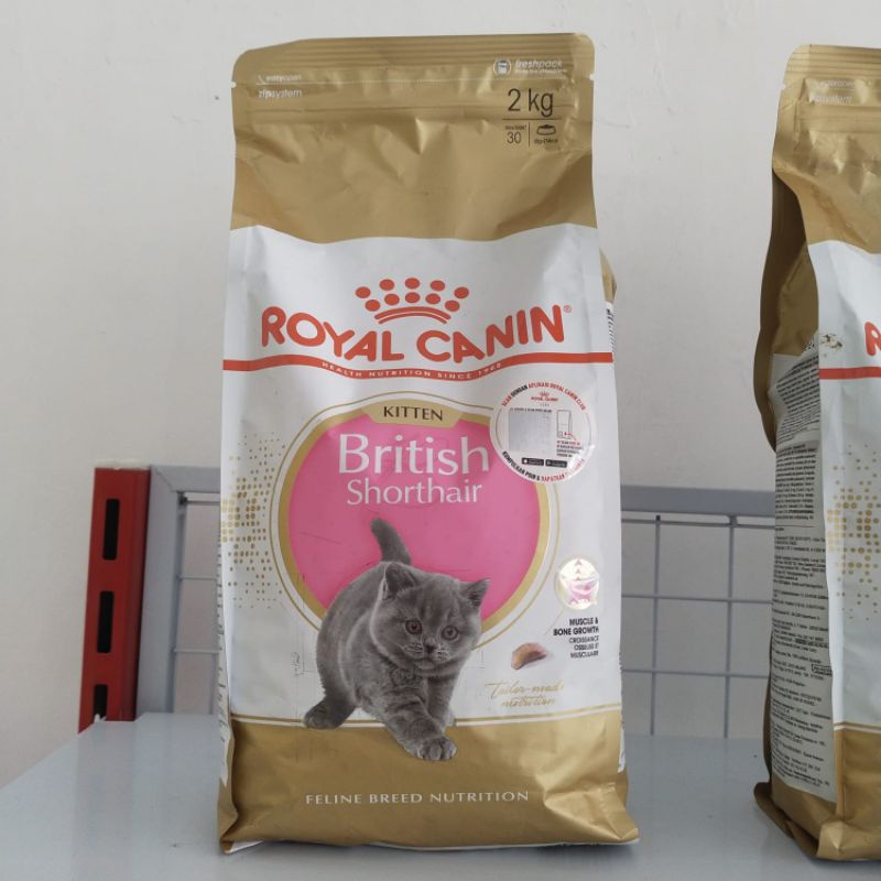 Royal Canin Kitten British Short Hair 2kg