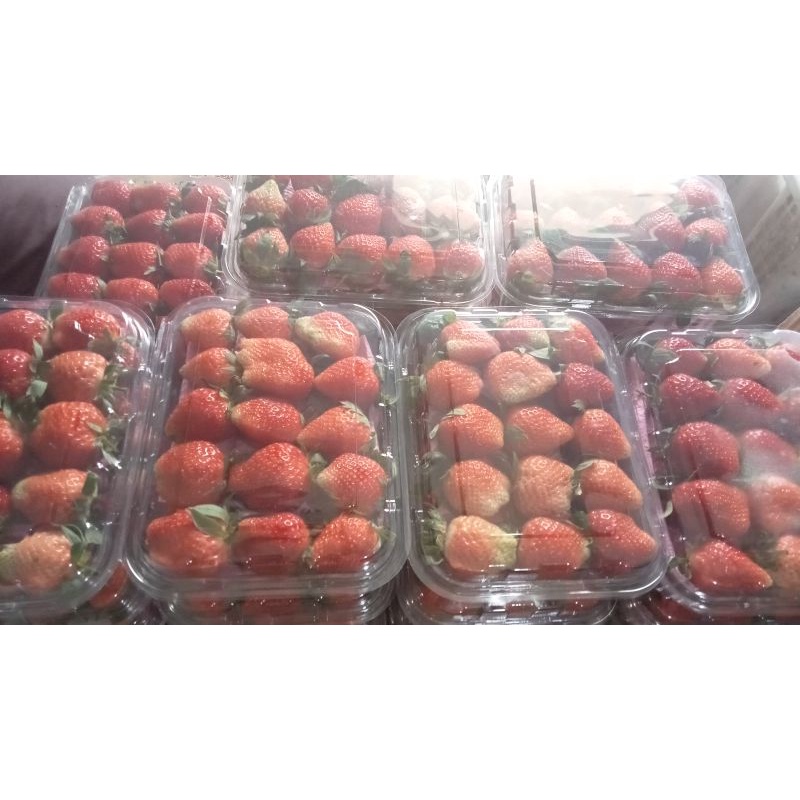 

strawberry fresh mencir ½kg