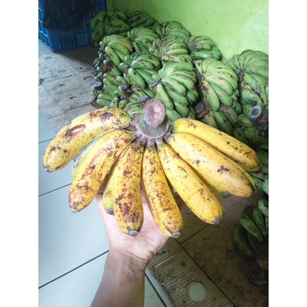 

pisang barangan (asli Medan)