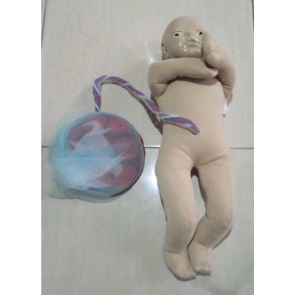 Manikin/Phantom/bayi Plasenta bahan kain