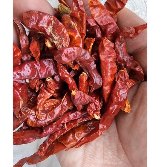 

れZ cabe rawit kering 500gr / cabe rawit teja Super / cabe kering HOT SALES 3892 ❁