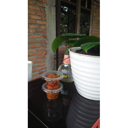 

Sambel Jengkol (SamJeng) cup