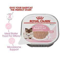 RC 34 BABY CAT TRAY 100 GR